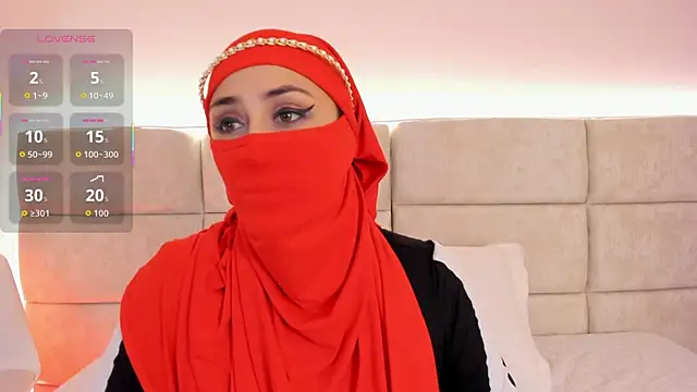 Snapshot of _habib_ chatting on November 2025 12:06:01 PM habib online show from November 2025 12:06:01 PM