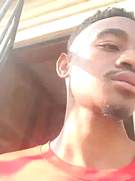 gemini loops online show from September 2025 01:44:02 PM