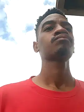 gemini loops online show from January 2026 07:35:02 AM