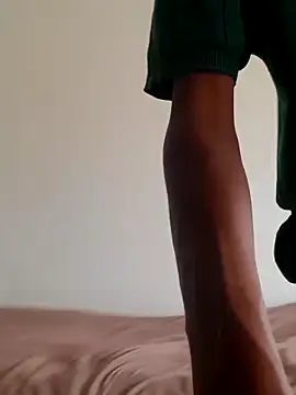 gemini loops online show from February 2026 09:37:02 AM