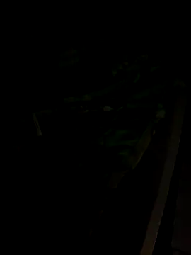 Snapshot of sr_dias chatting on November 2025 08:46:01 AM sr dias online show from November 2025 08:46:01 AM