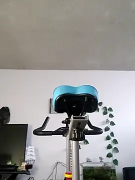 Sebitasxpasivo online show from January 2026 02:08:01 PM