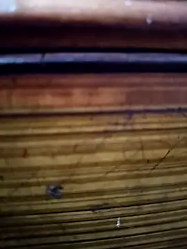 Snapshot of Shruti_Bhabhi38 chatting on November 2025 05:59:01 PM Shruti Bhabhi38 online show from November 2025 05:59:01 PM