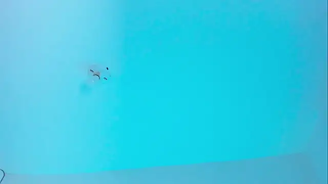 Im naho online show from November 2025 09:59:01 PM