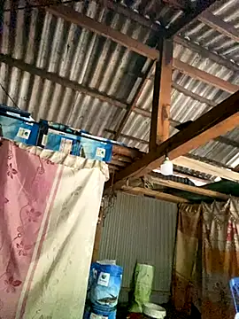 Snapshot of PhanHaa chatting on October 2025 08:59:01 AM PhanHaa online show from October 2025 08:59:01 AM