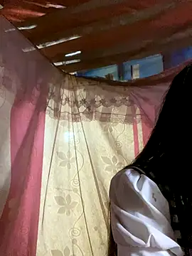 Snapshot of PhanHaa chatting on November 2025 12:49:01 PM PhanHaa online show from November 2025 12:49:01 PM