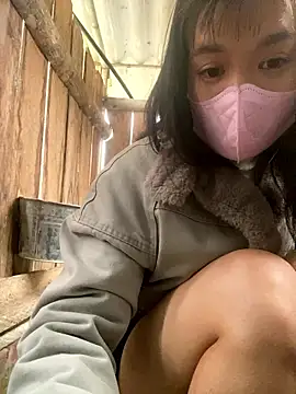 Snapshot of PhanHaa chatting on January 2026 02:04:02 AM PhanHaa online show from January 2026 02:04:02 AM