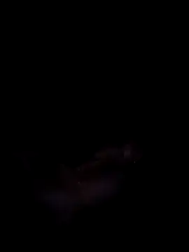 Harini Gautam online show from September 2025 07:30:02 PM