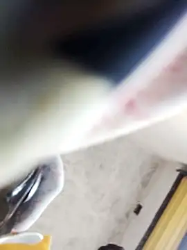 Bhavna hot online show from February 2026 11:36:01 AM