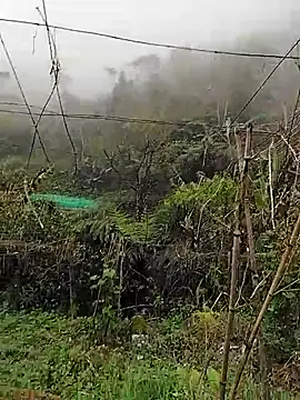 quynhkoolbae online show from March 2026 03:12:02 AM