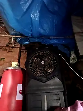 Pinki thakur 1 online show from September 2025 11:52:01 PM