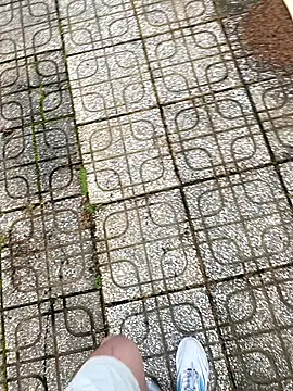 Snapshot of linh21107 chatting on November 2025 12:24:02 AM linh21107 online show from November 2025 12:24:02 AM