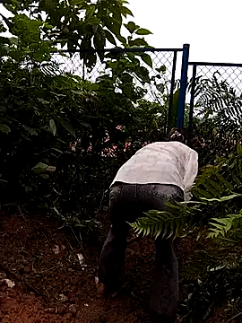 Snapshot of linda_bae00 chatting on September 2025 05:45:02 AM linda bae00 online show from September 2025 05:45:02 AM