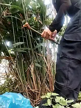 Snapshot of linda_bae00 chatting on October 2025 01:55:02 AM linda bae00 online show from October 2025 01:55:02 AM