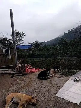 Snapshot of linda_bae00 chatting on December 2025 02:07:02 AM linda bae00 online show from December 2025 02:07:02 AM