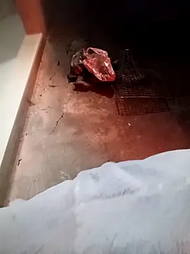 fanchunn online show from February 2026 09:57:02 AM