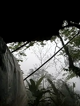 lucybaby00 online show from March 2026 08:19:01 AM