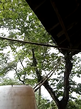 lucybaby00 online show from May 2026 04:07:01 AM