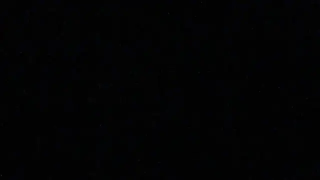 handyman7766 online show from December 2024 11:21:02 AM