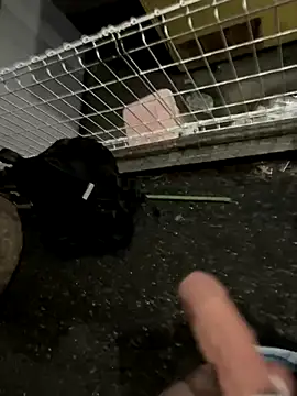 rinne0110 online show from September 2025 04:18:01 PM