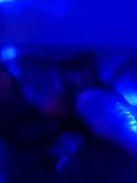 senacansu online show from October 2025 02:50:02 AM