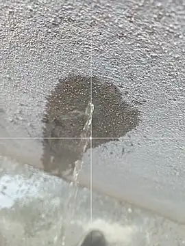 Snapshot of sexofbro chatting on March 2026 05:33:01 AM sexofbro online show from March 2026 05:33:01 AM