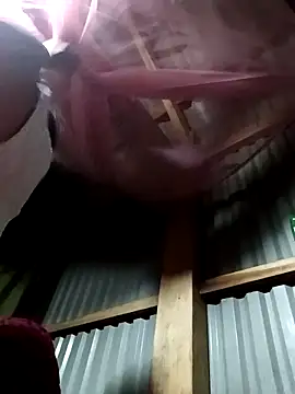 vivi cute online show from October 2025 09:06:01 PM