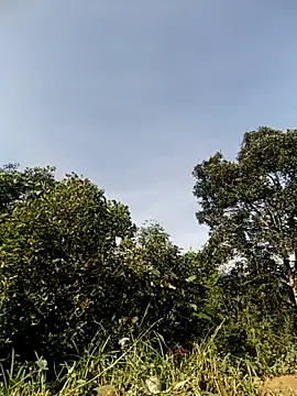 vivi cute online show from October 2025 01:51:02 AM