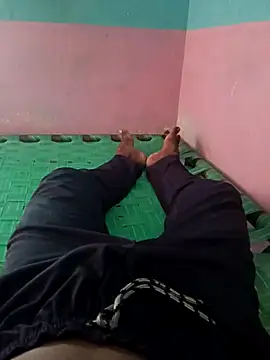 dolphiinn online show from September 2025 08:49:02 AM