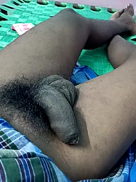 dolphiinn online show from October 2025 03:01:01 PM