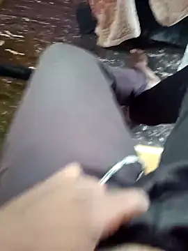 dolphiinn online show from November 2025 04:36:01 AM