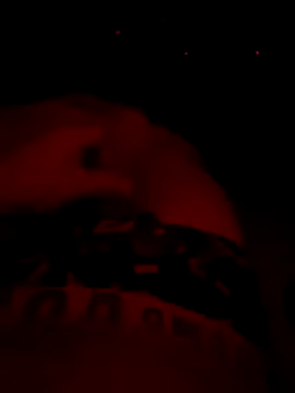 Snapshot of el_pija_chica chatting on September 2025 03:44:02 AM el pija chica online show from September 2025 03:44:02 AM