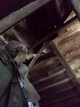 Snapshot of _Helala_ chatting on October 2025 11:49:02 PM Helala online show from October 2025 11:49:02 PM