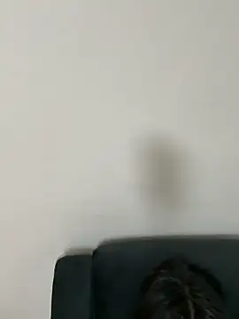 gayfucuxuc online show from December 2025 01:04:02 PM