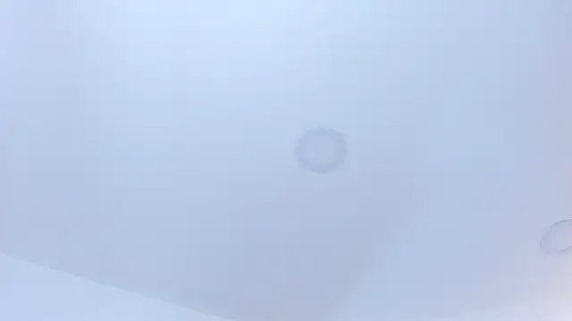 Snapshot of Madame_Angelic_ chatting on October 2025 05:04:01 AM Madame Angelic online show from October 2025 05:04:01 AM