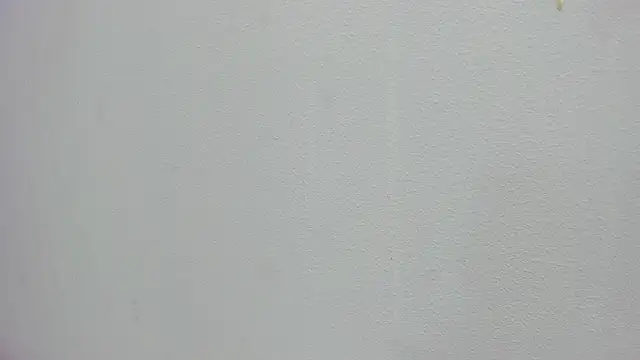 scarlett646 online show from November 2025 03:04:01 AM