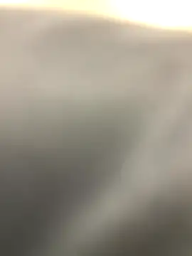    sab60    online show from November 2025 02:53:02 PM