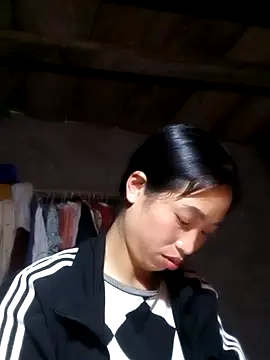 misa 00 online show from March 2026 09:04:01 AM