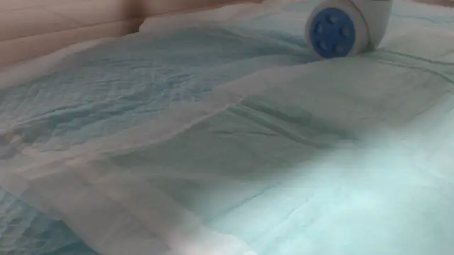 asuka xoxo online show from October 2025 08:31:02 PM