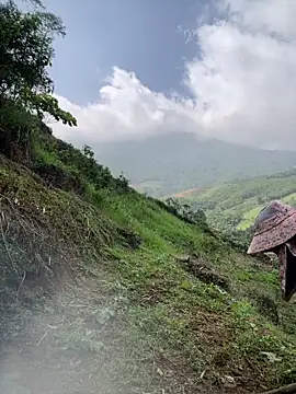 Ngoc-bbi online show from May 2026 02:17:01 AM