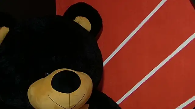 sany noa online show from November 2025 07:24:01 PM