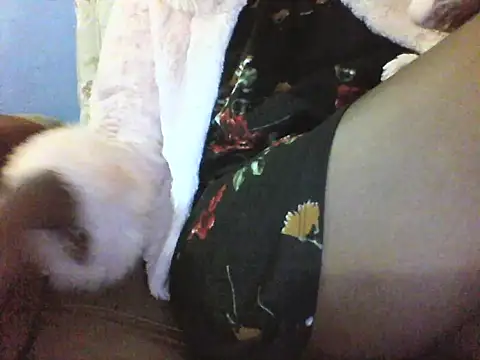 Snapshot of Moongodessy chatting on March 2026 05:46:02 AM Moongodessy online show from March 2026 05:46:02 AM