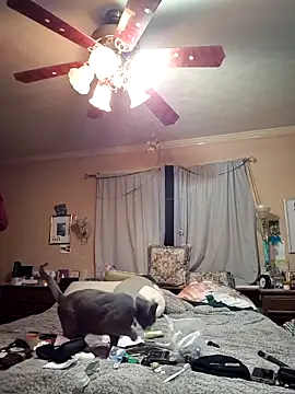 Snapshot of mresquared chatting on March 2026 03:34:02 AM mresquared online show from March 2026 03:34:02 AM