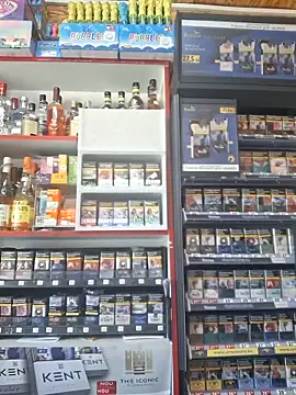 Snapshot of Fluturas2 chatting on September 2025 08:47:01 AM Fluturas2 online show from September 2025 08:47:01 AM