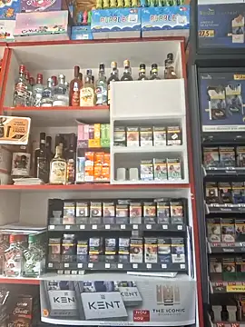 Snapshot of Fluturas2 chatting on September 2025 12:54:01 PM Fluturas2 online show from September 2025 12:54:01 PM