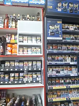 Snapshot of Fluturas2 chatting on October 2025 09:40:01 AM Fluturas2 online show from October 2025 09:40:01 AM