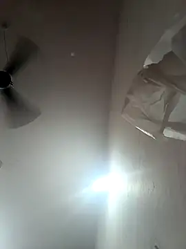 Appypie online show from October 2025 07:09:02 AM