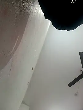 Appypie online show from February 2026 08:46:02 AM