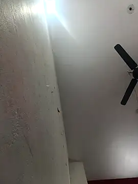 Appypie online show from February 2026 06:34:01 AM