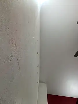 Appypie online show from February 2026 06:11:02 AM